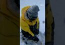 Surviving Antarctica | 60 Minutes Australia