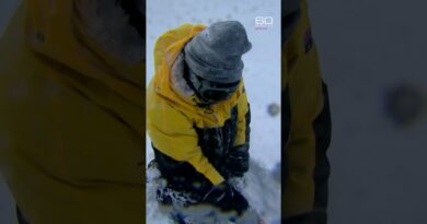 Surviving Antarctica | 60 Minutes Australia