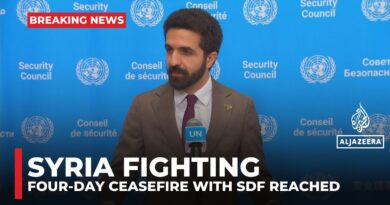 Syria fighting: Government says four-day ceasefire with SDF reached
