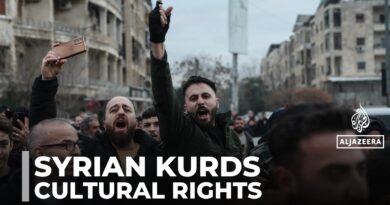 Syrian Kurds welcome decree recognising rights and cultural identity