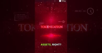 The Crypto Paradox: Blockchain Booms, But Who Wins?