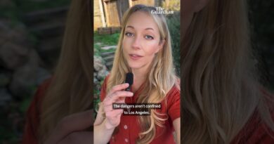 The Los Angeles wildfires devastated the city. Here’s what happened next