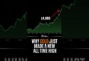 The REAL Reason Gold Just Made a New ATH