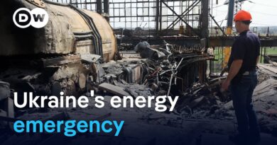 The struggle to keep the lights on in Ukraine | DW Interview