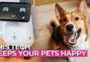 This AI Tech Understands Your Pet Better Than You Do