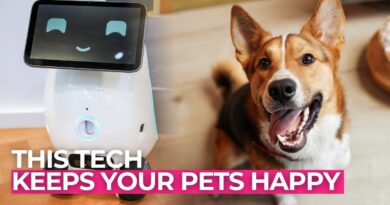 This AI Tech Understands Your Pet Better Than You Do
