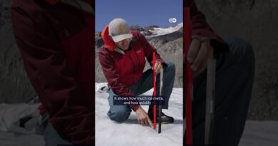 Tracking the melting ice in the Alps | DW News