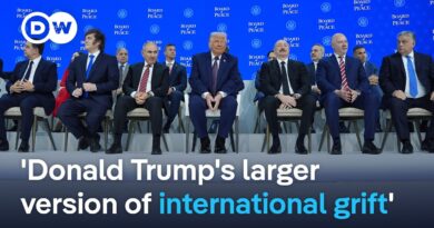 Trump, Europe and the ‘Board of Peace’: A new coordinate system for international relations?