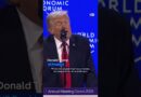 Trump says US will not use force to take Greenland | DW News