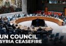 UN Security Council meets on Syria: Members applaud ceasefire & call for more integration
