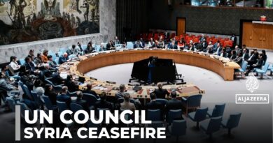 UN Security Council meets on Syria: Members applaud ceasefire & call for more integration