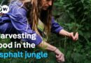 Urban foraging for food – Fresh, tasty and free | DW Documentary