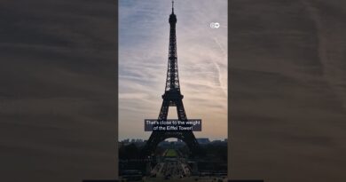 Venezuela’s wealth isn’t only oil | DW Business