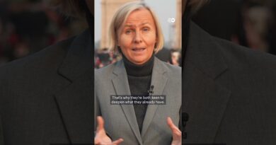 What does Germany’s Chancellor hope to accomplish on his visit to Modi in India? | DW News