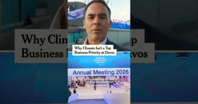 Why Climate Isn’t a Top Business Priority at Davos