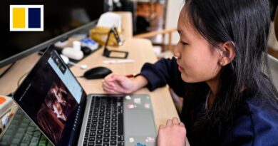 Why more parents in China are turning to home-schooling