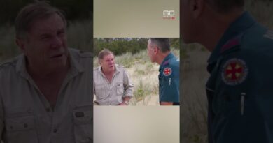 Wild dingo warning on popular tourist island | 60 Minutes Australia