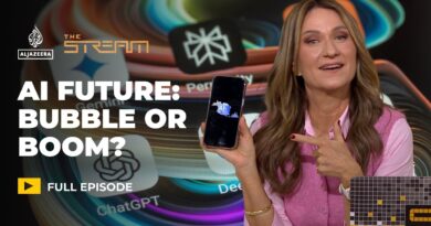Will the AI bubble burst or boom? | The Stream