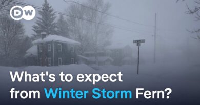 Winter Storm Fern to stretch from Texas to mid-Atlantic states | DW News