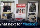 A continuation of violence in Mexico highly likely after drug lord killing | DW News