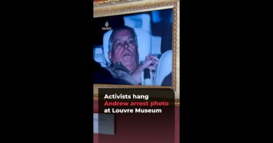 Activists hang Andrew arrest photo at Louvre Museum | AJ #shorts