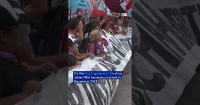 Argentines clash with police amid general strike | DW News