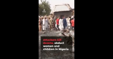 Attackers kill dozens, abduct women and children in Nigeria | AJ#shorts