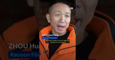 China’s firework tradition under pressure as Spring Festival nears | DW News