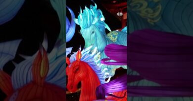 Chinese New Year: The Year of the Fire Horse begins | DW News