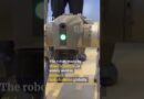 Chinese robodog passed off as India-made at AI summit