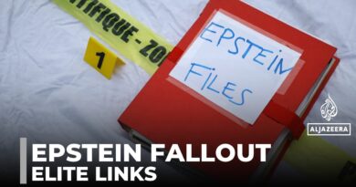 Epstein fallout: Files expose extent of network and access to elites