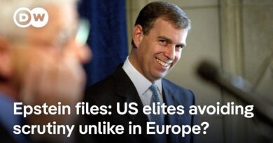 Europe’s Epstein fallout: Andrew Mountbatten-Windsor released under investigation