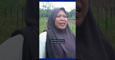 Expanding sinkhole threatens farmland in Indonesia | DW  News