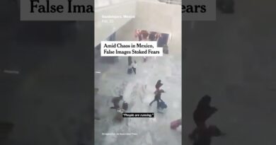 Fake Images Stoked Fears Amid Chaos in Mexico