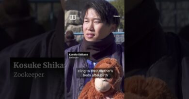 Fans flock to Japan zoo to see viral baby monkey