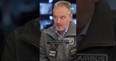 Franco-German spat puts fighter jet future in doubt | DW News