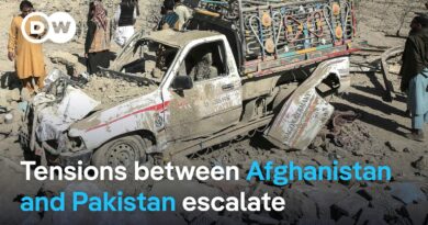 Fresh clashes along Afghanistan-Pakistan border | DW News
