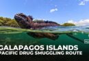 Galapagos Islands: Ecuador’s wildlife haven turned Pacific drug smuggling hub
