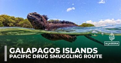 Galapagos Islands: Ecuador’s wildlife haven turned Pacific drug smuggling hub