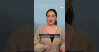 How AI fakes are reshaping the Epstein case | DW News