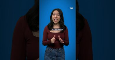 How did the US opioid crisis start? | DW Documentary