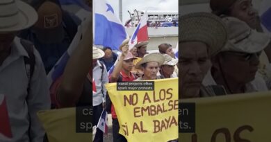 How eco‑friendly are canals? | DW News