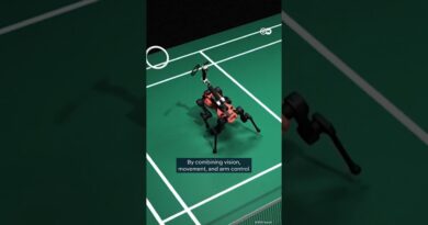 How robots will change sports | DW News
