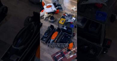 How robots will protect our oceans | DW News