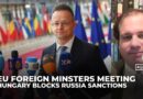 Hungary blocks EU sanctions on Russia and aid to Ukraine in a dispute over oil supplies