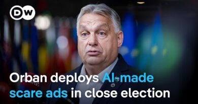 Hungary election campaign shows risks of AI ads | DW News