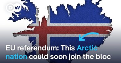 Iceland to hold referendum on full EU membership | DW News