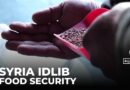 Idlib heirloom seeds help displaced families become self-sufficient