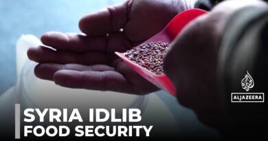 Idlib heirloom seeds help displaced families become self-sufficient