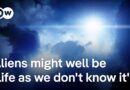 If US govt files showed there really are aliens, could we even recognise them? | DW News